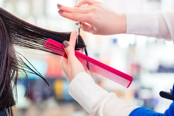 Hairdresser cutting woman hair in shop — Stock Photo, Image