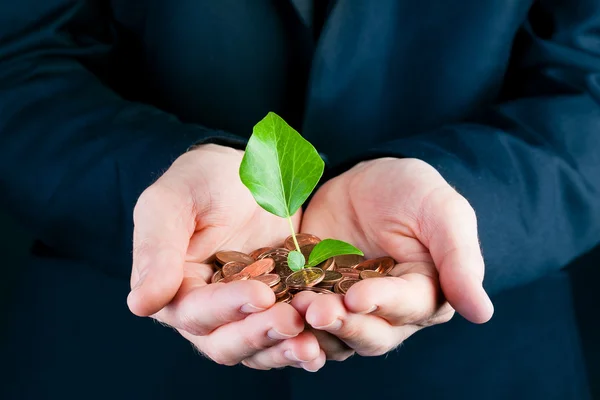 Affärsman håller plantan i hans händer — Stockfoto