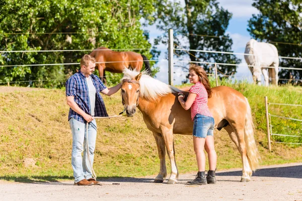 Paar streichelt Pferd auf Ponyhof — Stockfoto