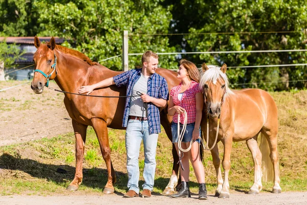 Paar kinderboerderij paard op pony stabiel — Stockfoto