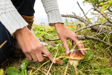 Young mushroom picker in the Bavarian alps clipart