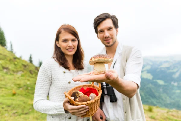 在巴伐利亚阿尔卑斯山的年轻蘑菇采摘 — 图库照片