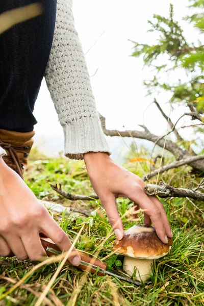 Young mushroom picker in the Bavarian alps — Stock Photo, Image