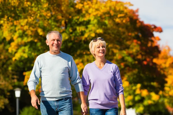 Seniors το φθινόπωρο ή πτώση περπάτημα χέρι-χέρι — Φωτογραφία Αρχείου