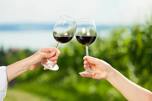 Casal beber vinho no lago no verão — Fotografia de Stock