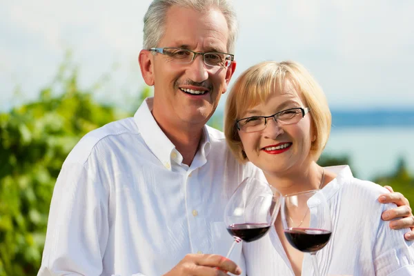 Feliz pareja bebiendo vino en el lago en verano —  Fotos de Stock