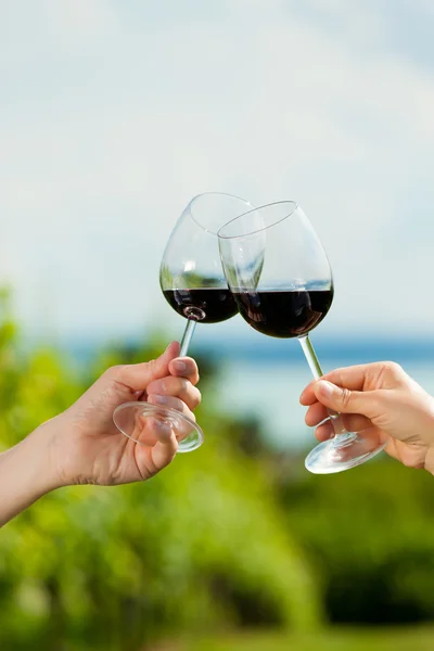 Paar drinken van wijn op meer in de zomer — Stockfoto