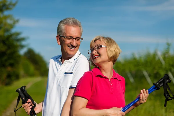 Senior couple doing Nordic walking in summer — Stock Photo, Image