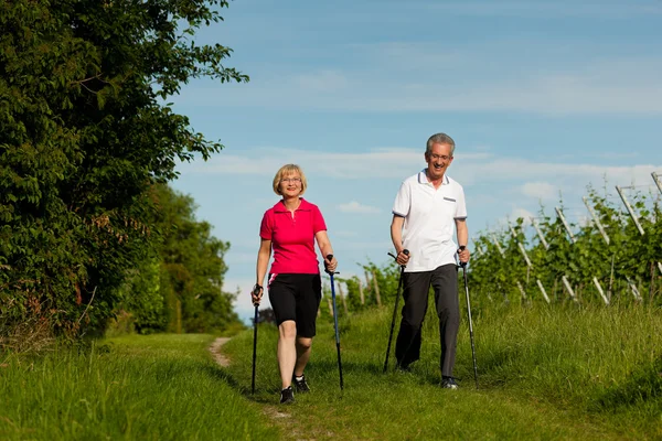 Senior couple doing Nordic walking in summer — Stock Photo, Image