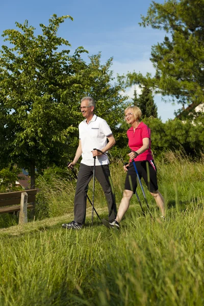 Pareja de ancianos haciendo Nordic walking en verano — Foto de Stock