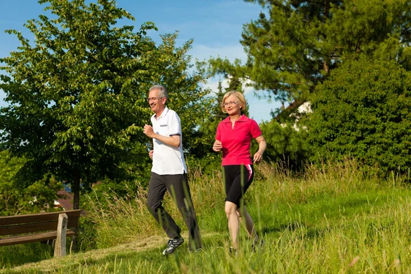 senior couple doing Nordic walking in summer