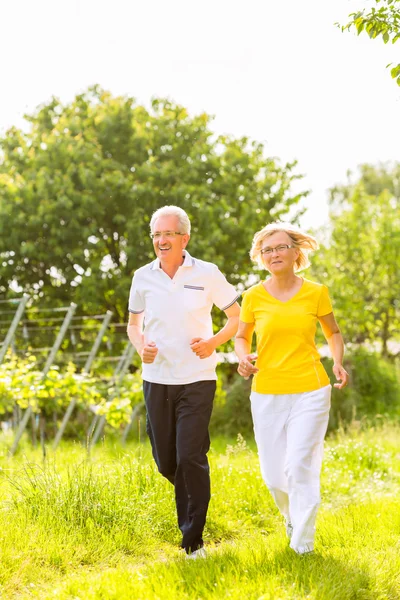 Seniors τρέξιμο στη φύση που ασχολείτε με τον αθλητισμό — Φωτογραφία Αρχείου