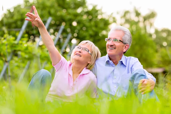 Feliz hombre y mujer senior en el viñedo — Foto de Stock