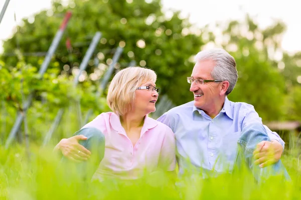 Gelukkig senior man en vrouw in wijngaard — Stockfoto