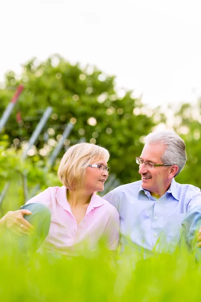 Šťastný starší muž a žena ve vinici — Stock fotografie