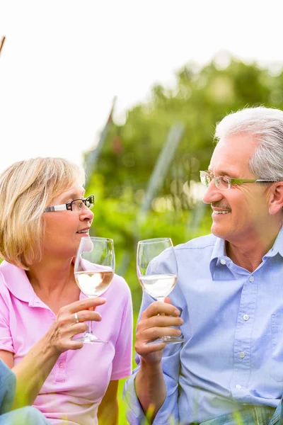 Seniores felizes fazendo piquenique bebendo vinho — Fotografia de Stock