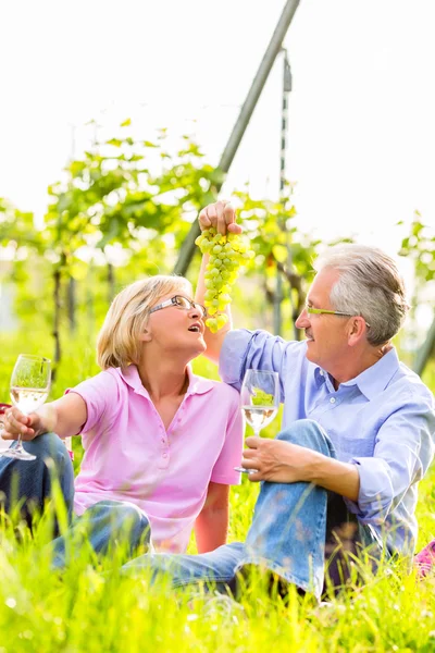 Feliz seniors teniendo picnic bebiendo vino — Foto de Stock