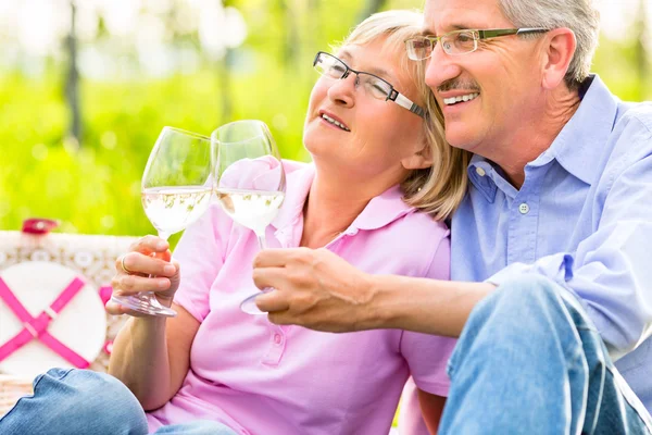 Feliz seniors teniendo picnic bebiendo vino — Foto de Stock