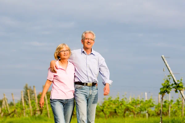 Senioren in de zomer lopen hand in hand — Stockfoto