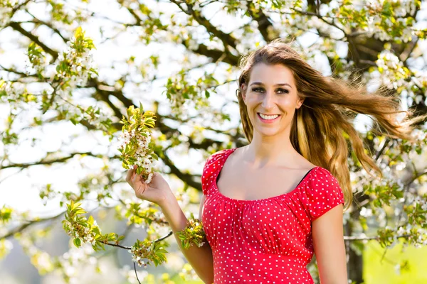 Meisje in lente en boom bloesem — Stockfoto