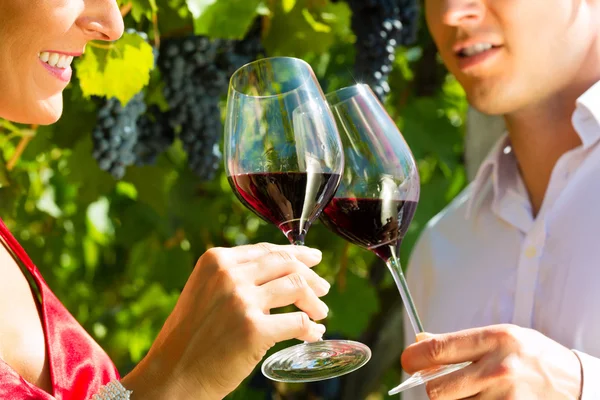 女と男のブドウ畑でワインを飲み — ストック写真