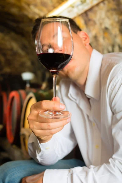 Hombre probando vino en barricas de fondo — Foto de Stock