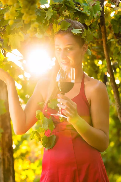 Жінка з келихом вина в винограднику — стокове фото