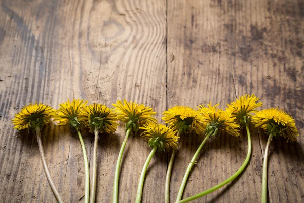 Dandelions on brown wood texture with copyspace — Stock Photo, Image