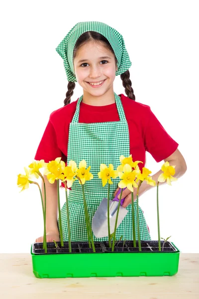 Girl care daffodils on the table — Stock Photo, Image