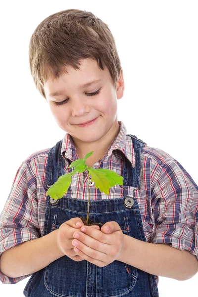 Boy with oak sapling in hands — Stock Photo, Image