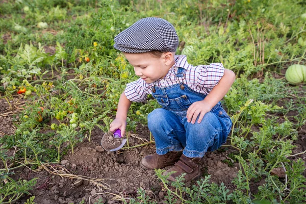 Petit garçon creusant dans le jardin — Photo