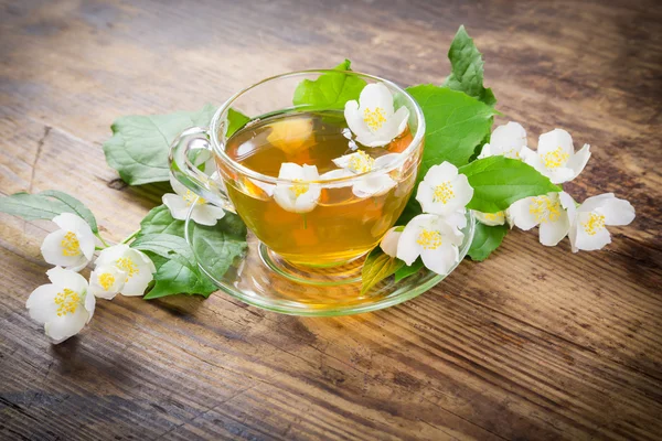 Трав'яний чай з квітами жасмину — стокове фото