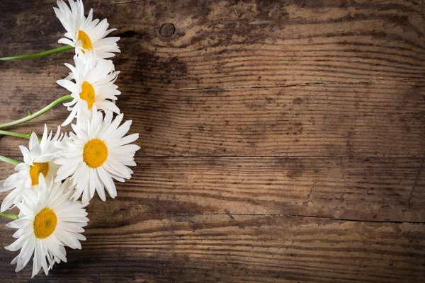 Kamille bloemen op houten achtergrond — Stockfoto