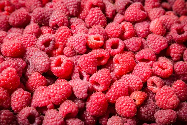 Fond alimentaire avec framboise — Photo