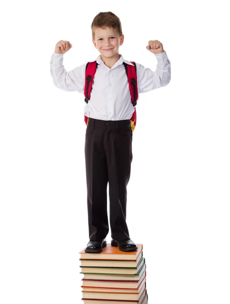 Sonriente niño de pie en un montón de libros — Foto de Stock