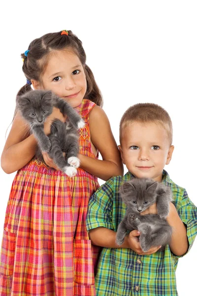 Dos niños pequeños sosteniendo gatitos grises — Foto de Stock