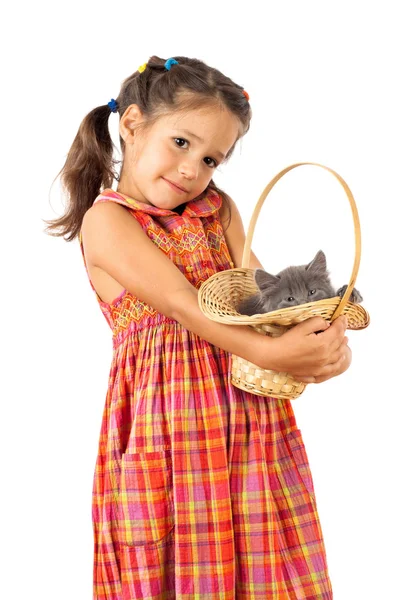 Little girl holding a gray kitten in basket — Stock Photo, Image