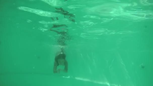 Chica de buceo en la piscina — Vídeo de stock