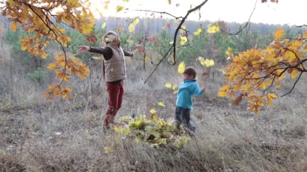 Deux enfants jetant des feuilles d'automne — Video