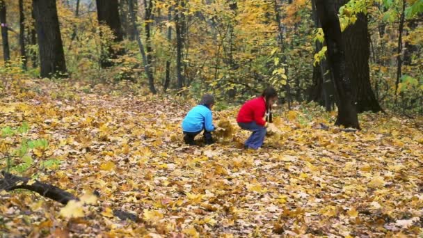 Δύο παιδιά, τη συλλογή φθινοπωρινά φύλλα — Αρχείο Βίντεο