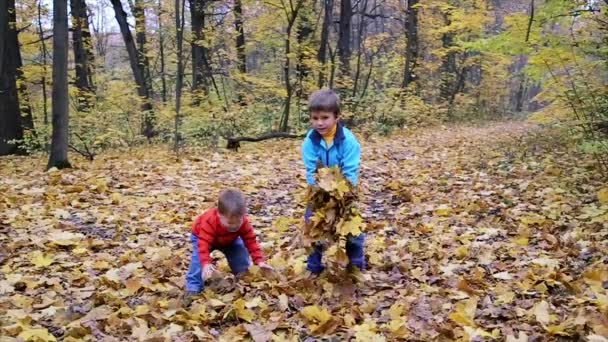 Dwóch chłopców, rzucanie się jesienne liście — Wideo stockowe