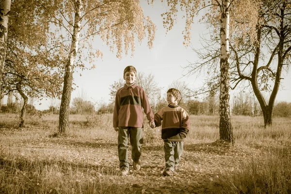 Dva chlapci procházel společně na podzimní park — Stock fotografie