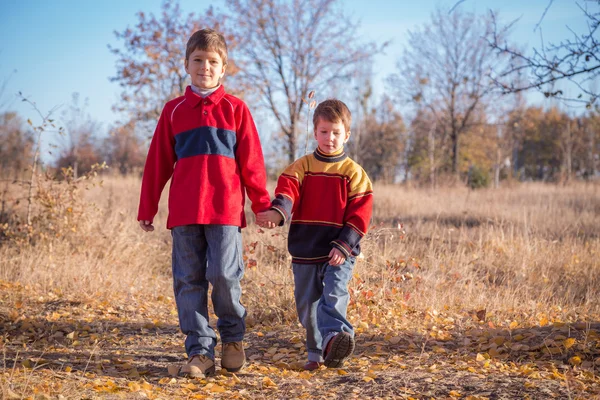 Два мальчика гуляли по осеннему парку — стоковое фото
