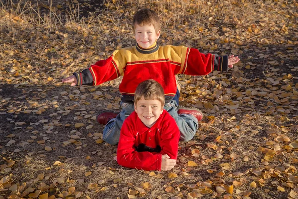 Два мальчика играют в осеннем парке — стоковое фото