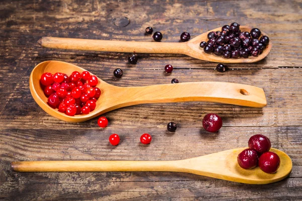 Viburnum, grosella negra y cereza en cucharas de madera — Foto de Stock