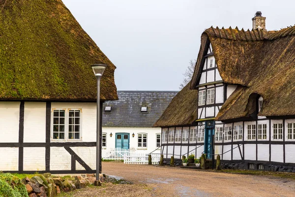Hagyományos Klasszikus Stílusú Dán Vidéki Házak Tetővel Falu Utcájában Dániában Jogdíjmentes Stock Fotók