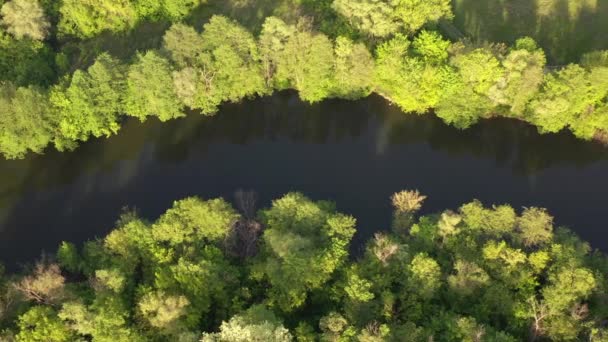 Вид с воздуха на весенний лес по реке Северский Донец — стоковое видео
