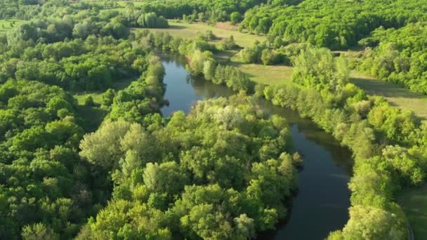 Вид с воздуха на весенний лес с рекой Северский Донец — стоковое видео