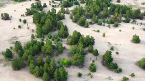 Vista aérea para o deserto natural ucraniano perto de Kitsevka, região de Kharkiv — Vídeo de Stock