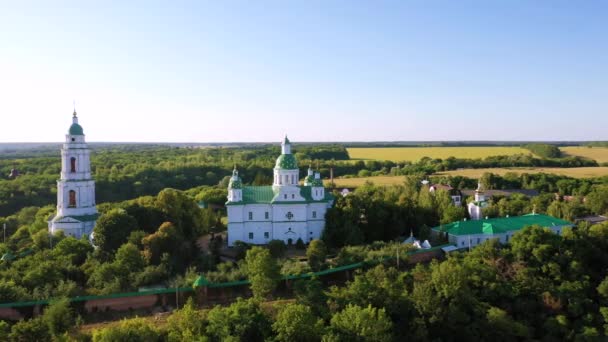 Vista aérea para o Mosteiro Salvador-Transfiguração Mhar, Ucrânia — Vídeo de Stock